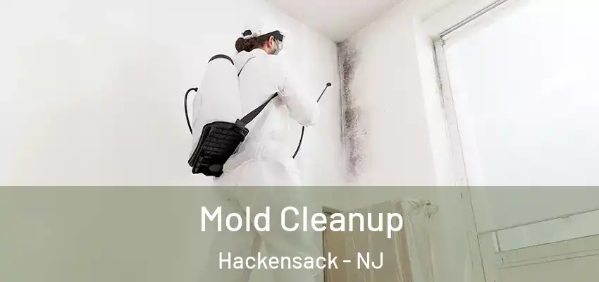 Mold Cleanup Hackensack - NJ