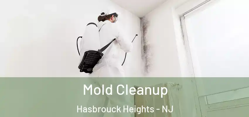  Mold Cleanup Hasbrouck Heights - NJ