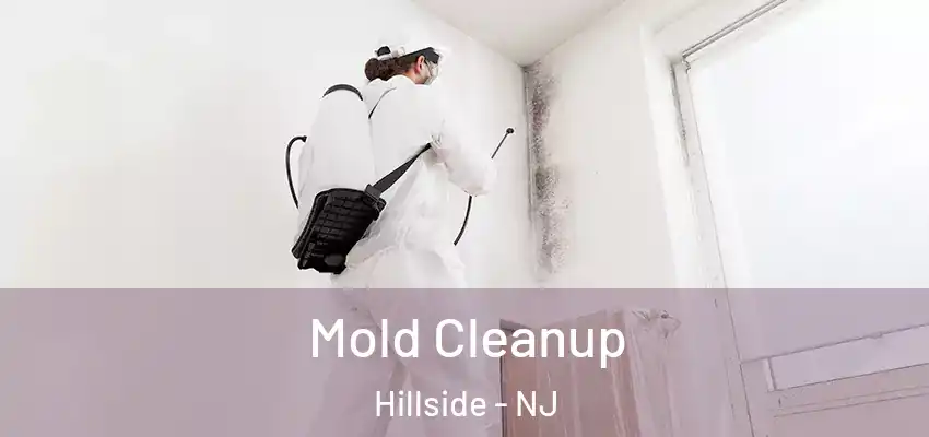 Mold Cleanup Hillside - NJ