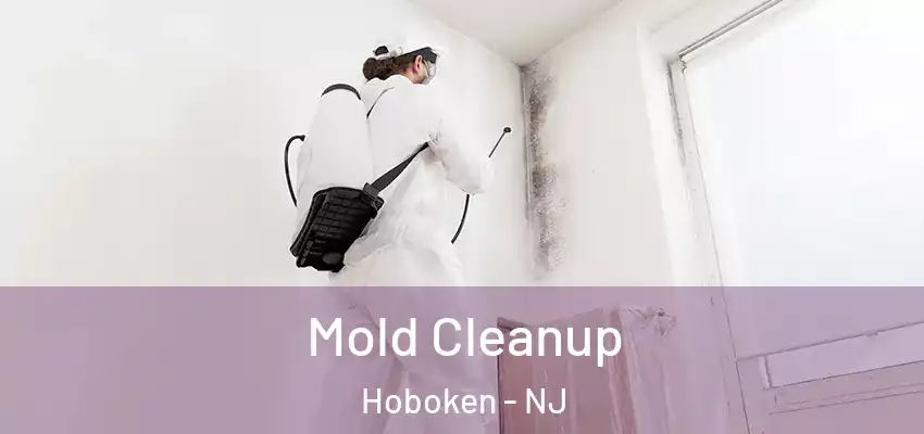 Mold Cleanup Hoboken - NJ