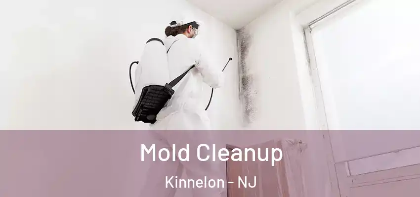  Mold Cleanup Kinnelon - NJ