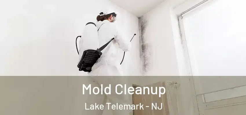  Mold Cleanup Lake Telemark - NJ