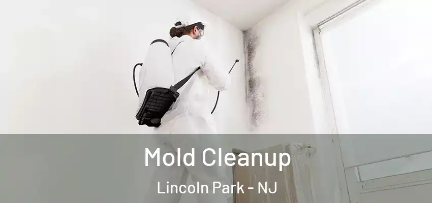Mold Cleanup Lincoln Park - NJ