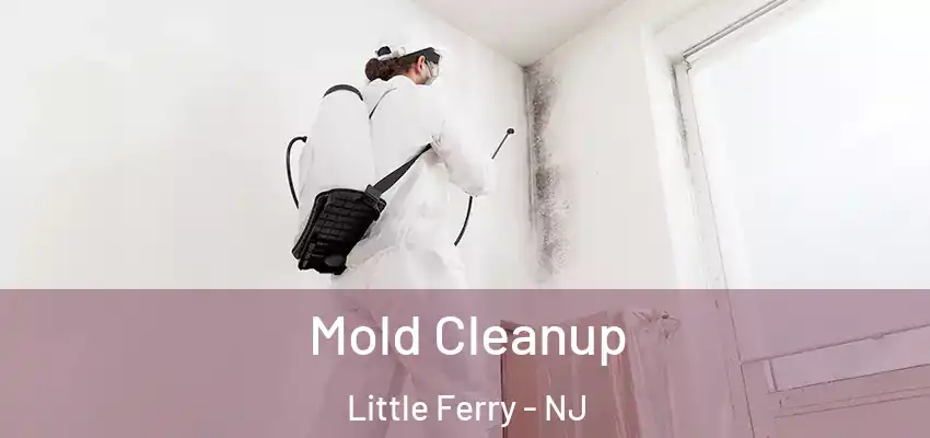 Mold Cleanup Little Ferry - NJ