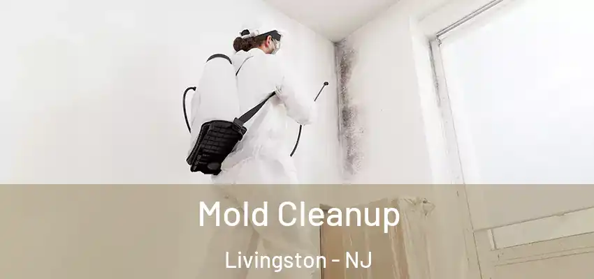  Mold Cleanup Livingston - NJ