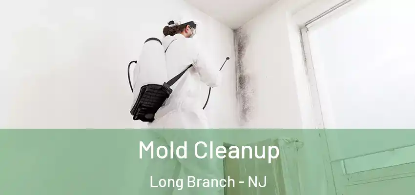  Mold Cleanup Long Branch - NJ
