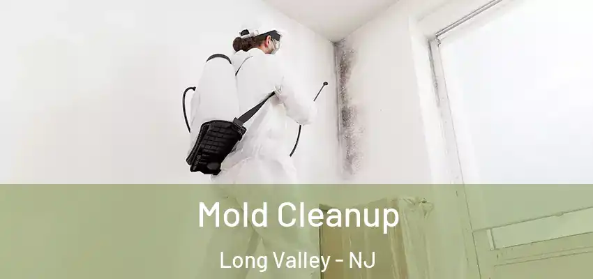  Mold Cleanup Long Valley - NJ