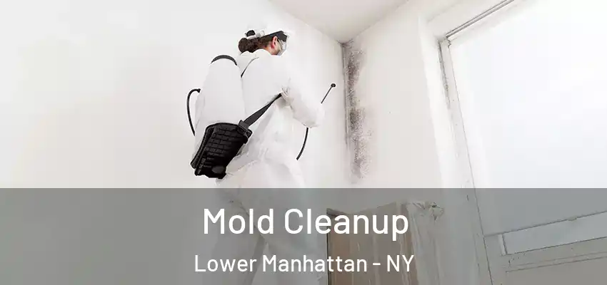 Mold Cleanup Lower Manhattan - NY