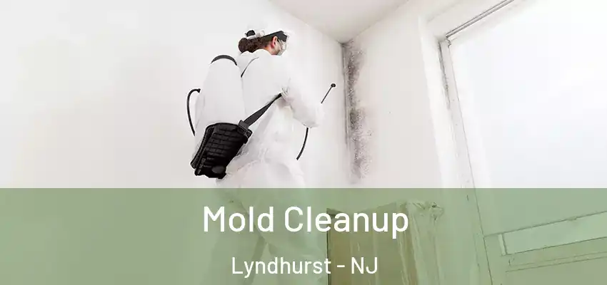 Mold Cleanup Lyndhurst - NJ