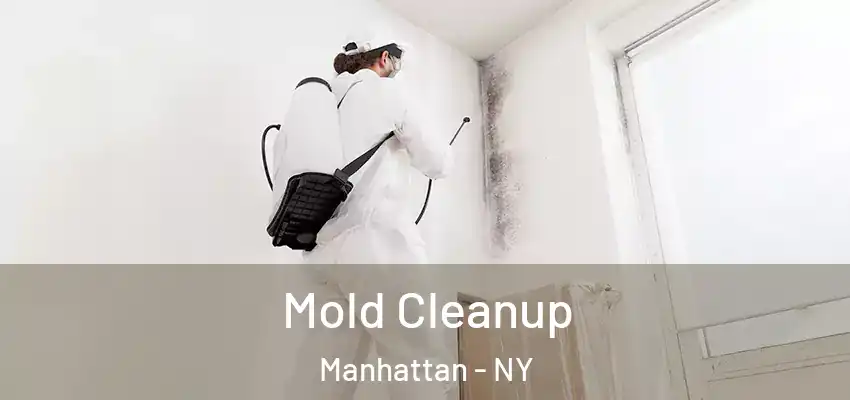 Mold Cleanup Manhattan - NY