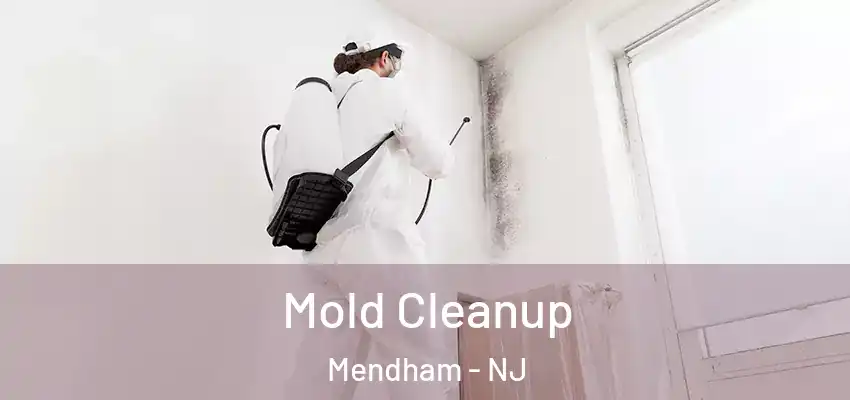 Mold Cleanup Mendham - NJ