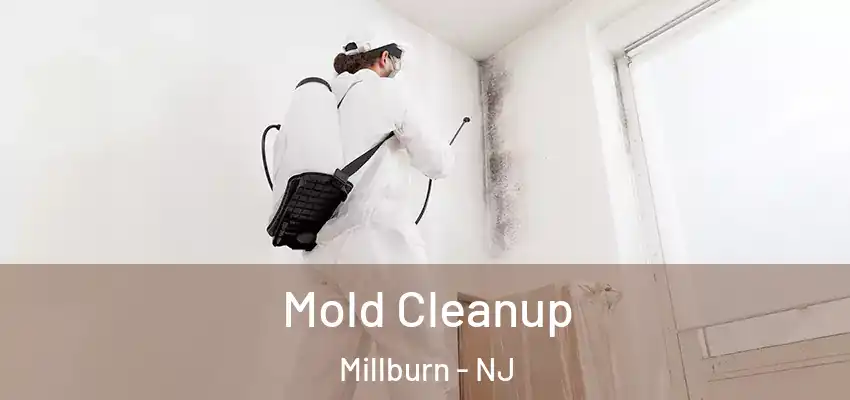 Mold Cleanup Millburn - NJ