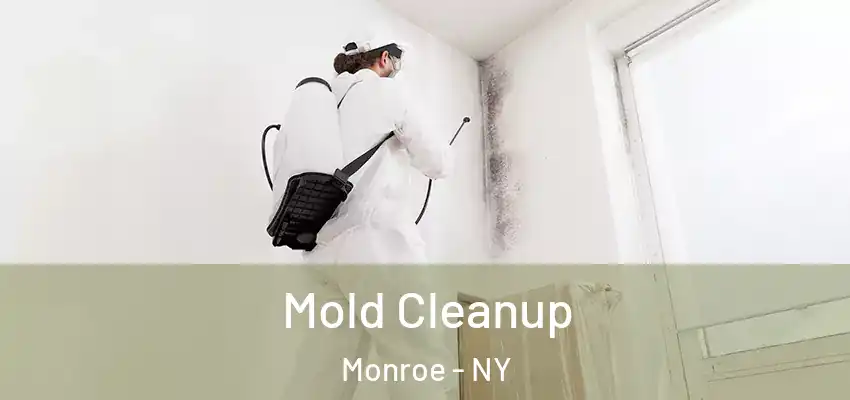 Mold Cleanup Monroe - NY