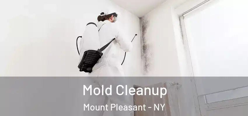 Mold Cleanup Mount Pleasant - NY