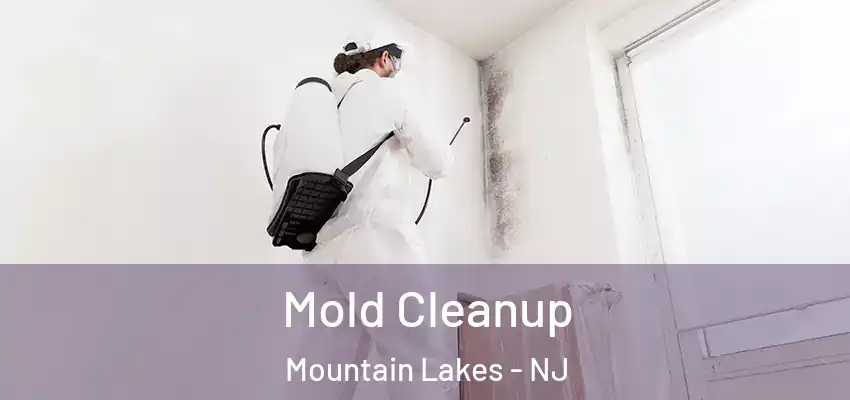  Mold Cleanup Mountain Lakes - NJ
