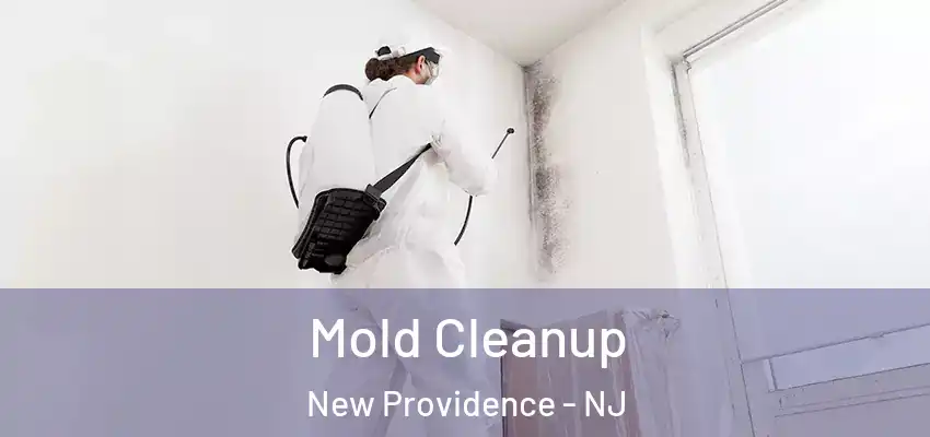  Mold Cleanup New Providence - NJ