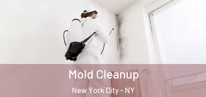 Mold Cleanup New York City - NY