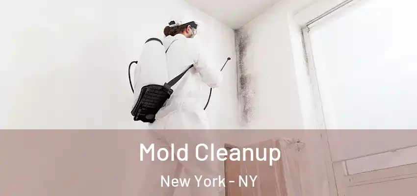  Mold Cleanup New York - NY