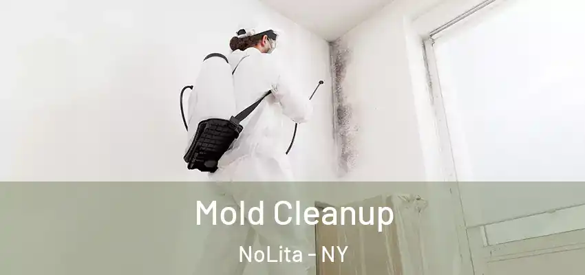  Mold Cleanup NoLita - NY