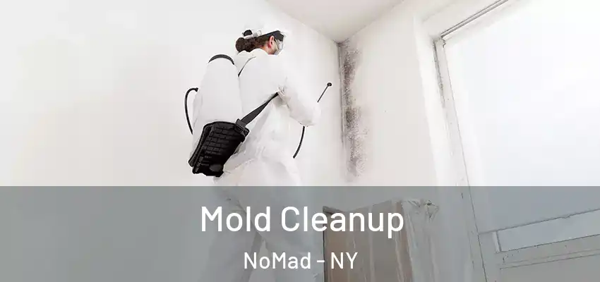 Mold Cleanup NoMad - NY