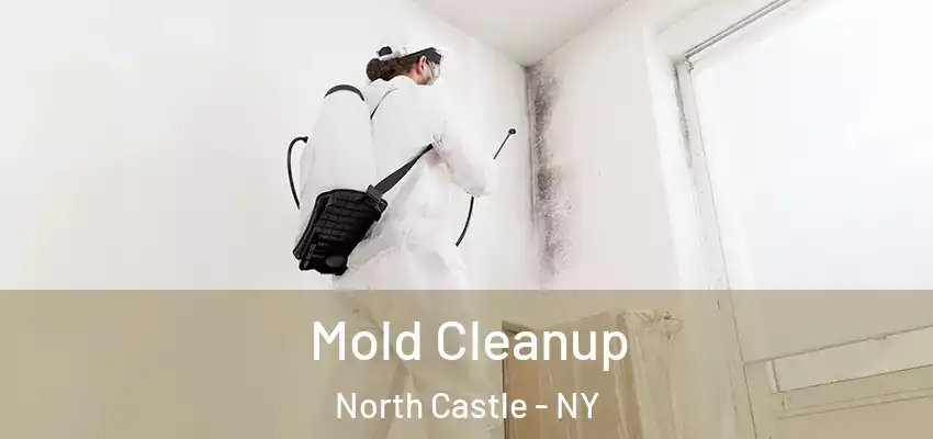 Mold Cleanup North Castle - NY