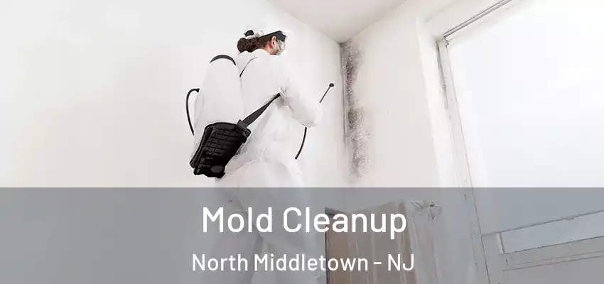  Mold Cleanup North Middletown - NJ