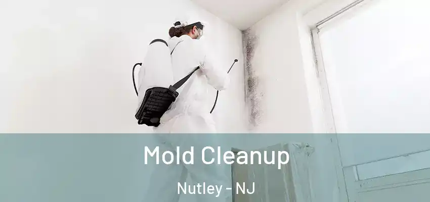 Mold Cleanup Nutley - NJ
