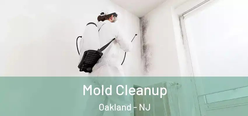  Mold Cleanup Oakland - NJ