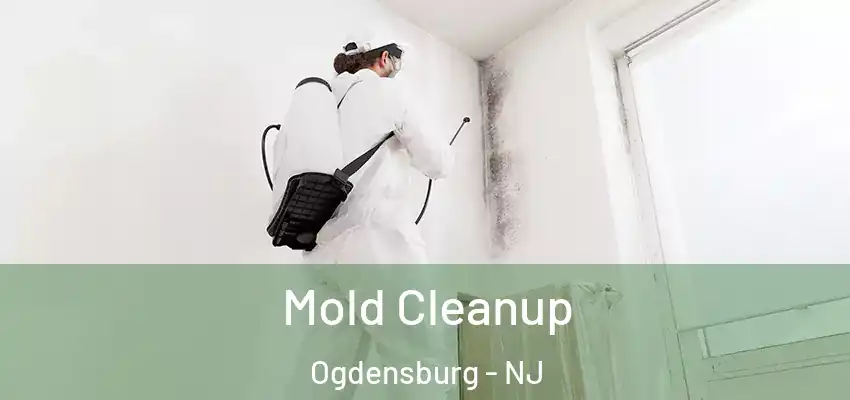  Mold Cleanup Ogdensburg - NJ