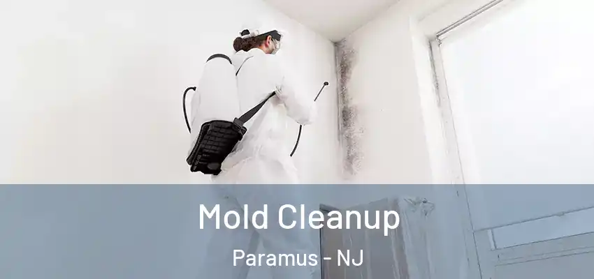 Mold Cleanup Paramus - NJ