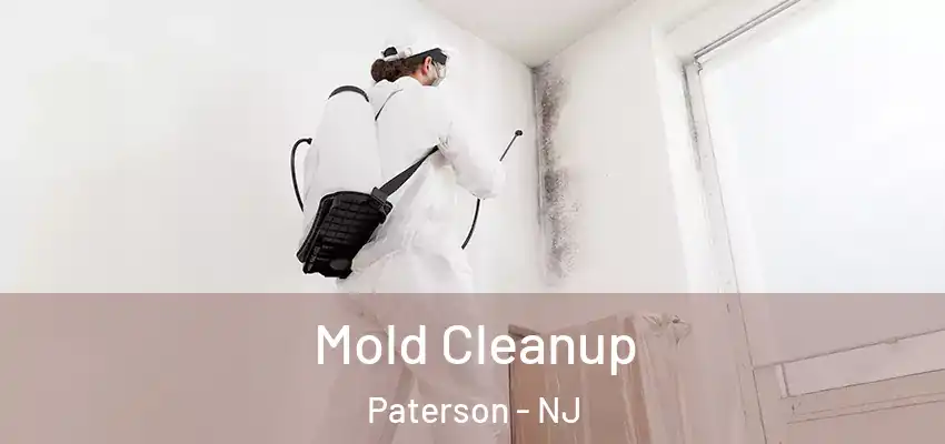  Mold Cleanup Paterson - NJ