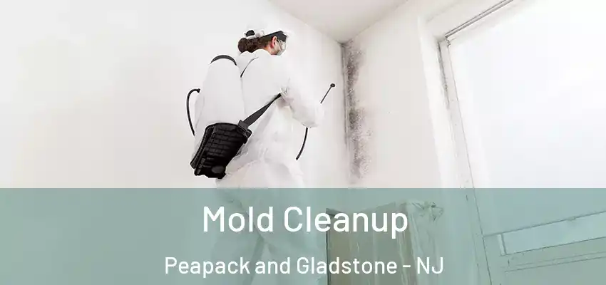 Mold Cleanup Peapack and Gladstone - NJ