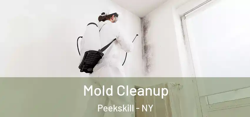 Mold Cleanup Peekskill - NY