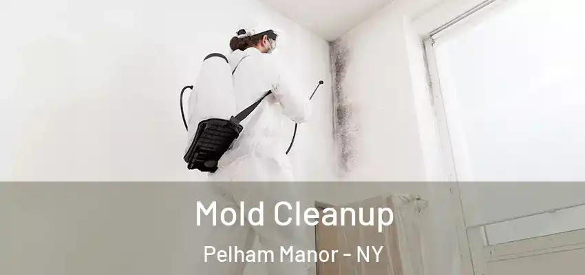  Mold Cleanup Pelham Manor - NY