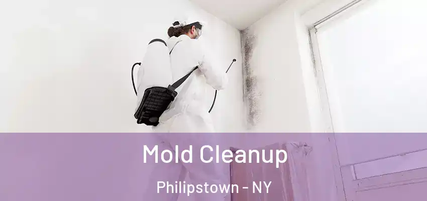  Mold Cleanup Philipstown - NY