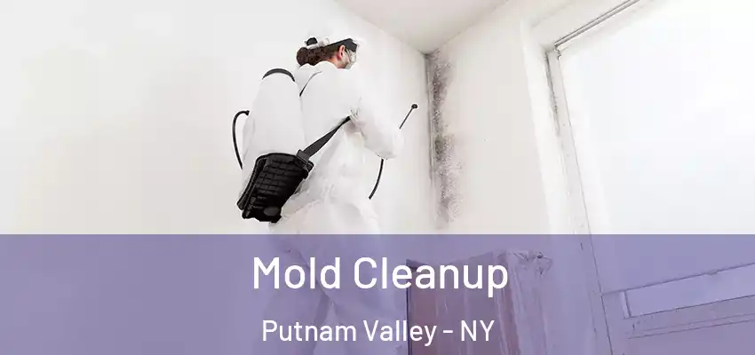  Mold Cleanup Putnam Valley - NY