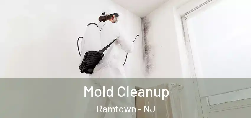 Mold Cleanup Ramtown - NJ