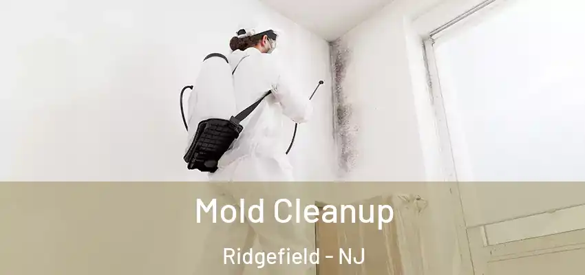  Mold Cleanup Ridgefield - NJ