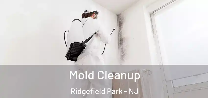  Mold Cleanup Ridgefield Park - NJ