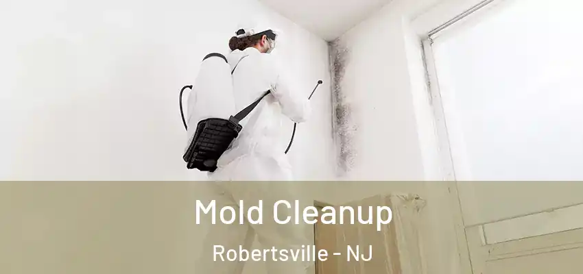  Mold Cleanup Robertsville - NJ