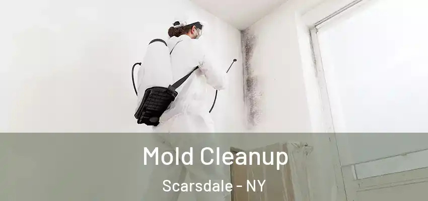 Mold Cleanup Scarsdale - NY