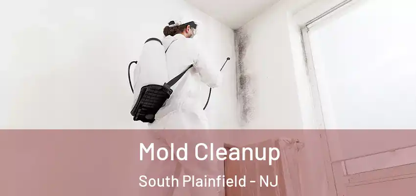 Mold Cleanup South Plainfield - NJ