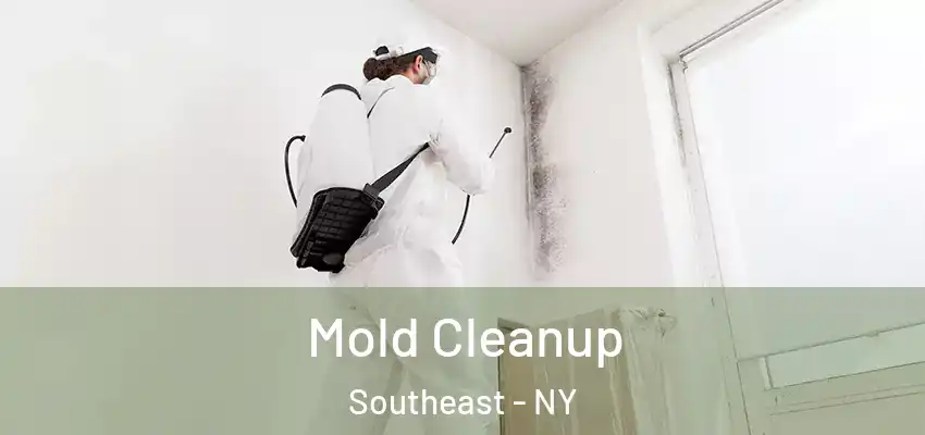 Mold Cleanup Southeast - NY