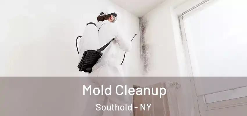  Mold Cleanup Southold - NY