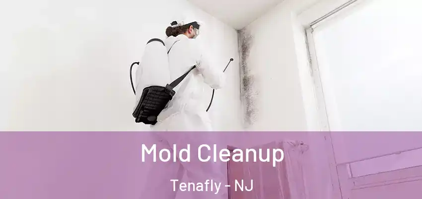 Mold Cleanup Tenafly - NJ