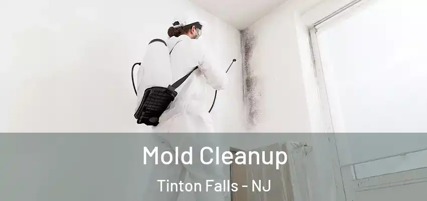  Mold Cleanup Tinton Falls - NJ