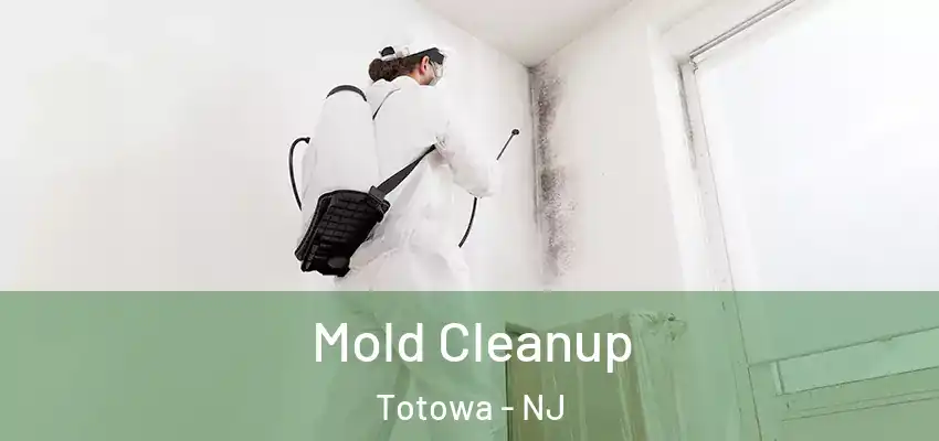 Mold Cleanup Totowa - NJ