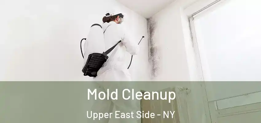 Mold Cleanup Upper East Side - NY