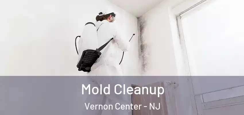  Mold Cleanup Vernon Center - NJ