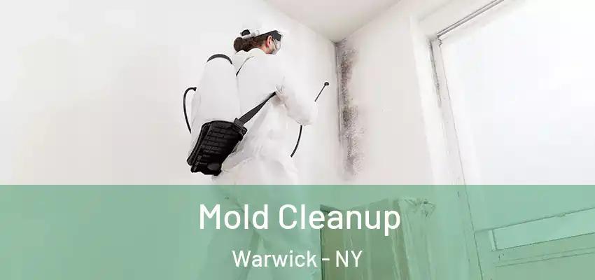 Mold Cleanup Warwick - NY